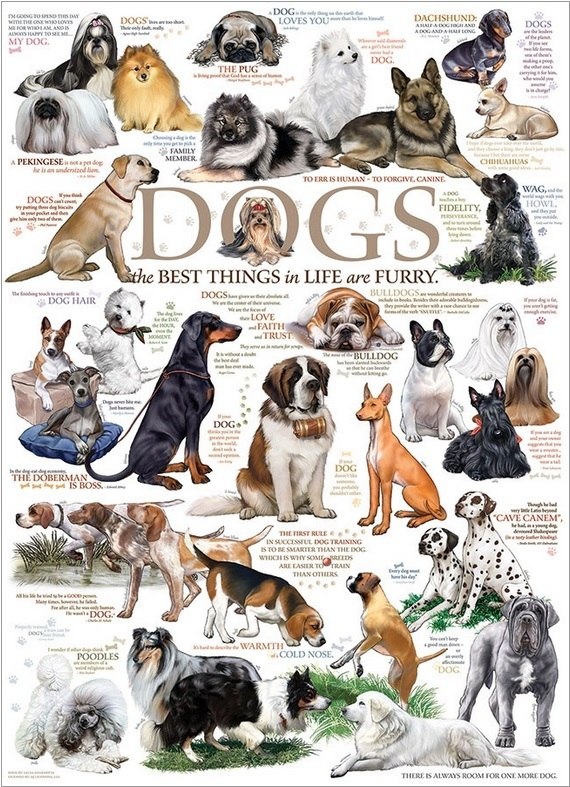 Dog Quotes - 1000pc Jigsaw Puzzle by Cobble Hill  			  					NEW