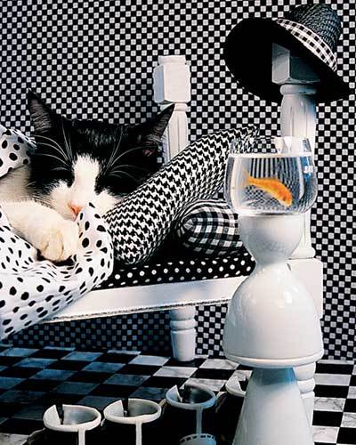 Checkerboard Cat - 1000pc Jigsaw Puzzle by Springbok (discon)