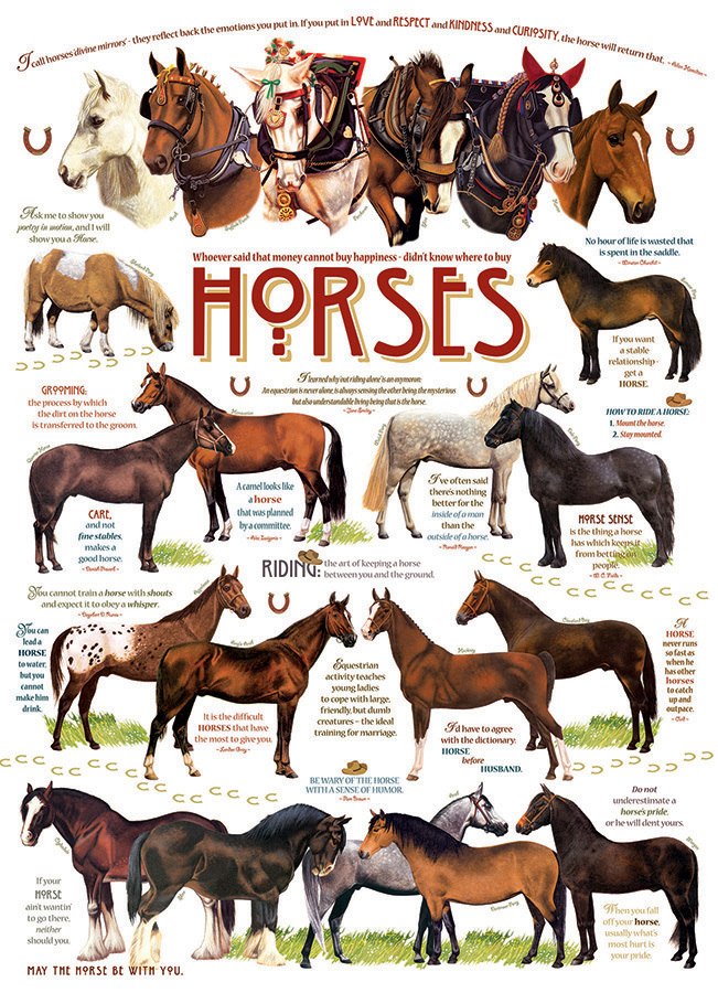 Horse Quotes - 1000pc Jigsaw Puzzle by Cobble Hill