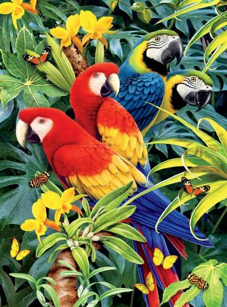 Wild: Majestic Macaws - 1000pc Jigsaw Puzzle by Ceaco  			  					NEW