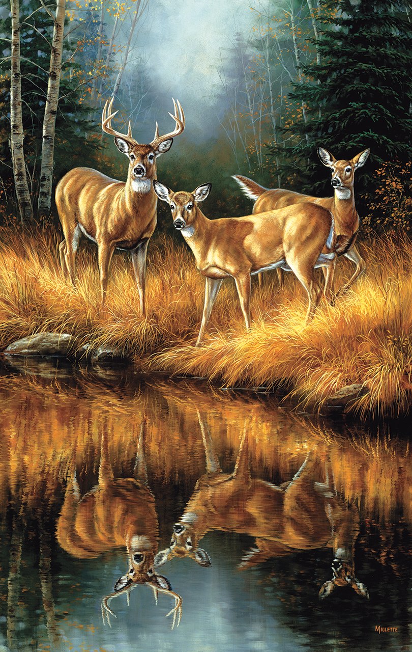 Whitetail Reflections - 550pc Jigsaw Puzzle By Sunsout  			  					NEW
