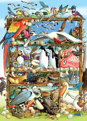 Birds of the World - 400pc Family Style Jigsaw Puzzle By Cobble Hill - image main