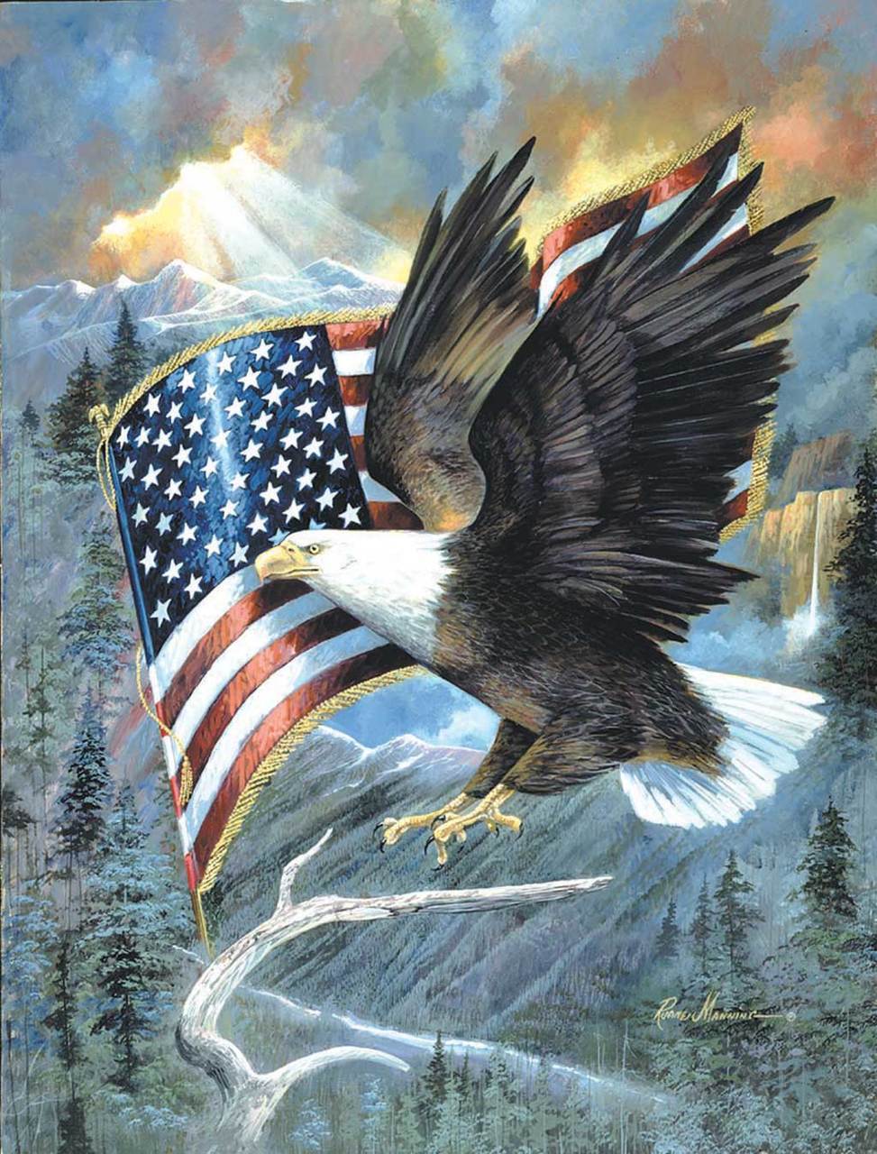 American Eagle - 500pc Jigsaw Puzzle By Sunsout