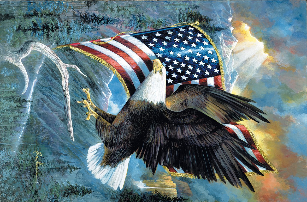 American Pride - 35pc Jigsaw Puzzle by Sunsout  			  					NEW