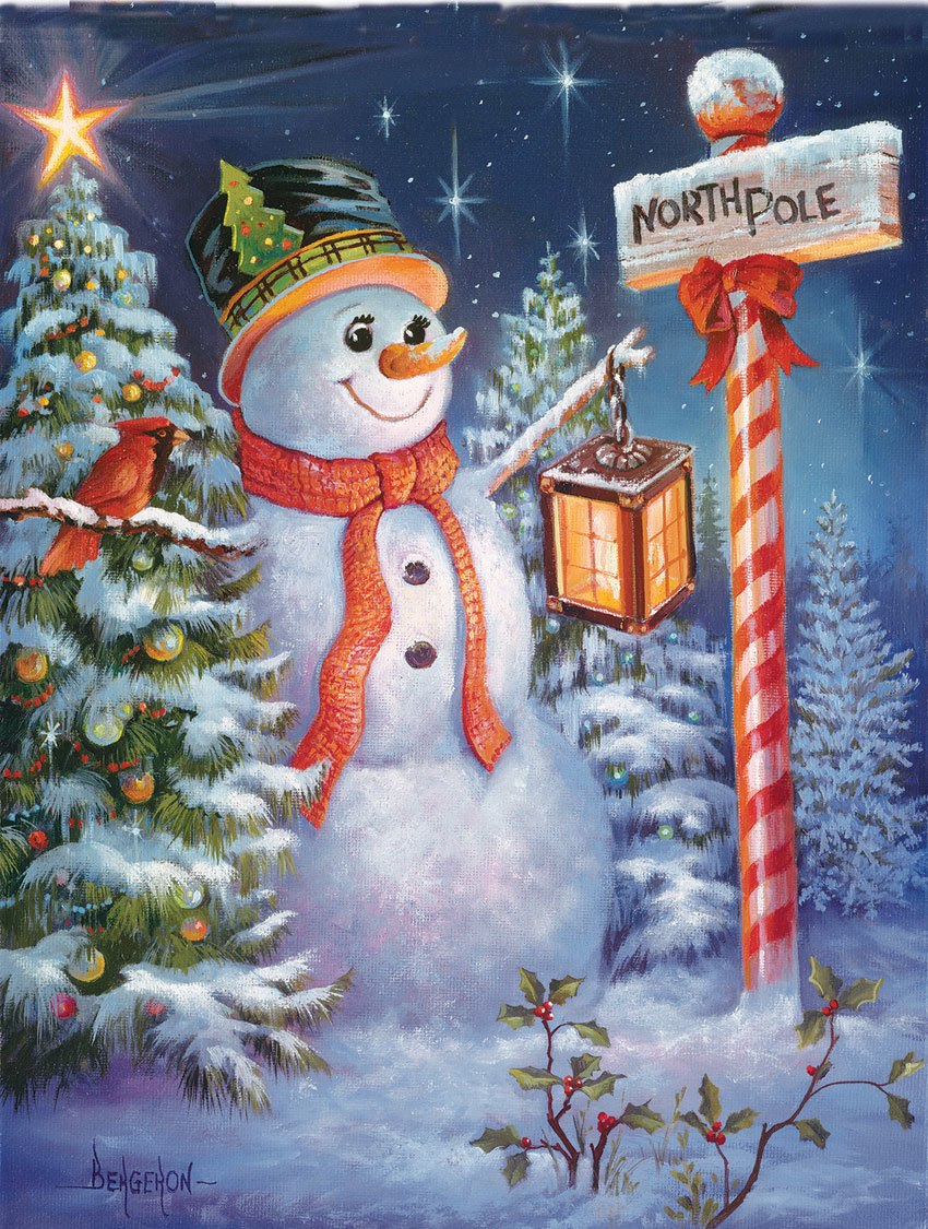 North Pole or Bust - 500pc Jigsaw Puzzle by SunsOut