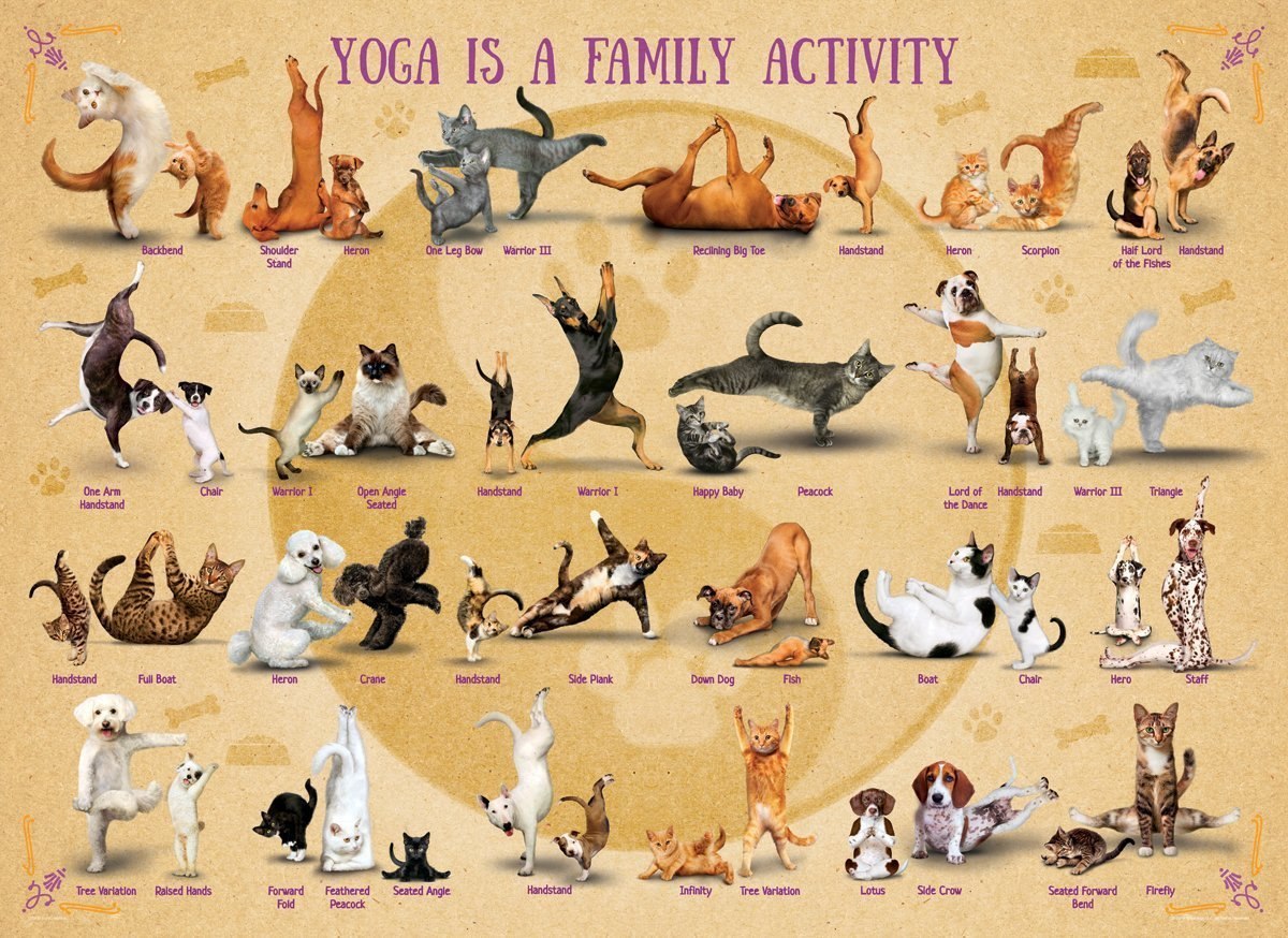 Yoga is a Family Activity - 500pc Jigsaw Puzzle by Eurographics  			  					NEW - image main