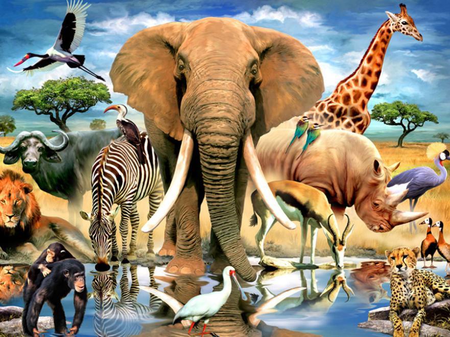Harmony: African Oasis - 550pc Jigsaw Puzzle by Ceaco