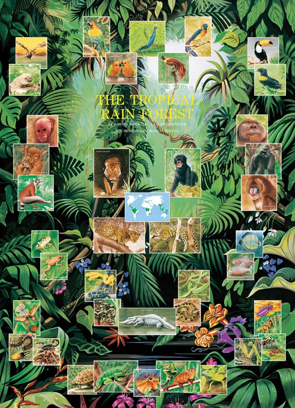 The Tropical Rain Forest - 1000pc Jigsaw Puzzle by Eurographics