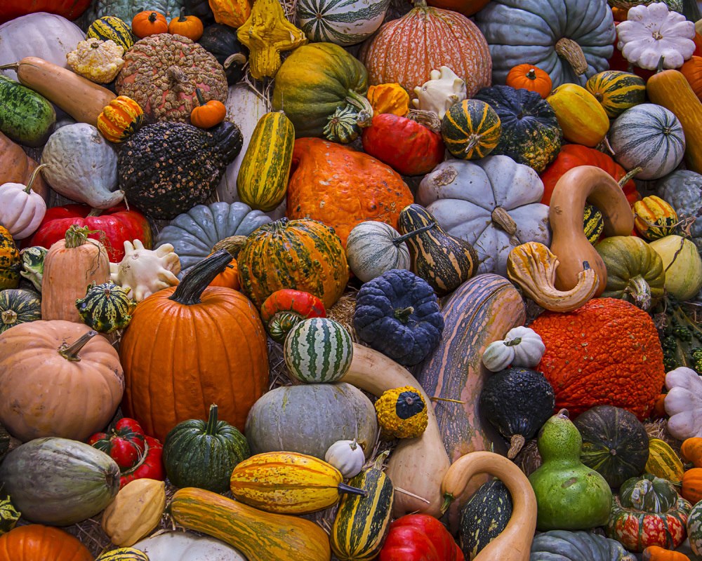 Autumn Harvest - 1000pc Jigsaw Puzzle by Vermont Christmas Company - image 1