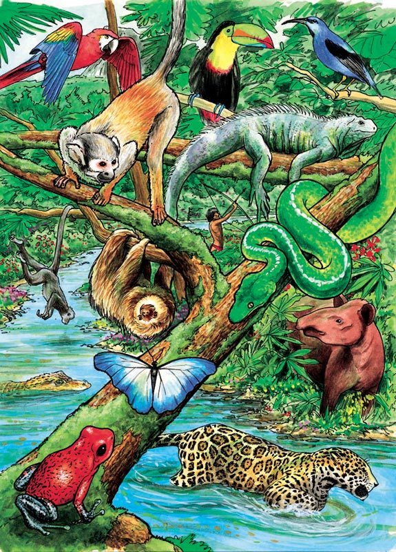 Life in a Tropical Rainforest - 35pc Tray Puzzle by Cobble Hill