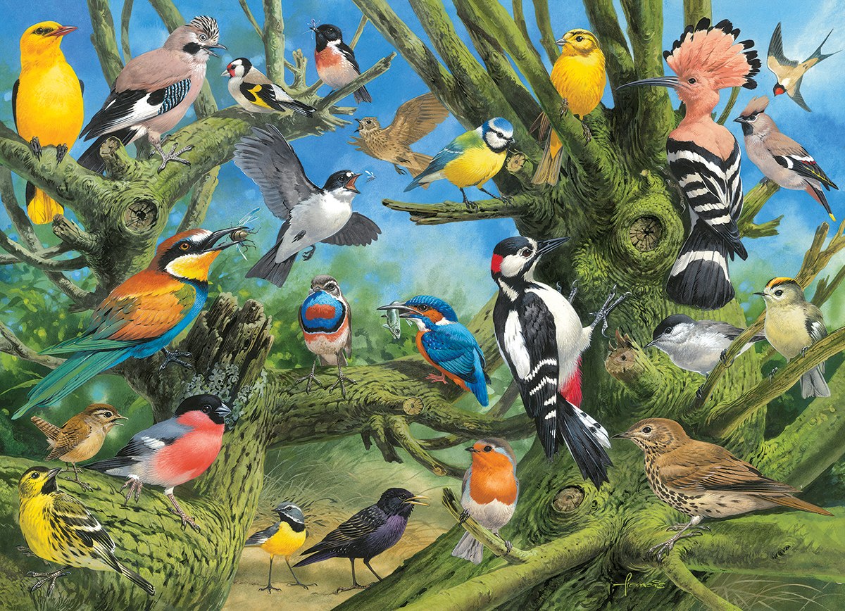 Garden Birds by Joahn Francis - 1000pc Jigsaw Puzzle by Eurographics