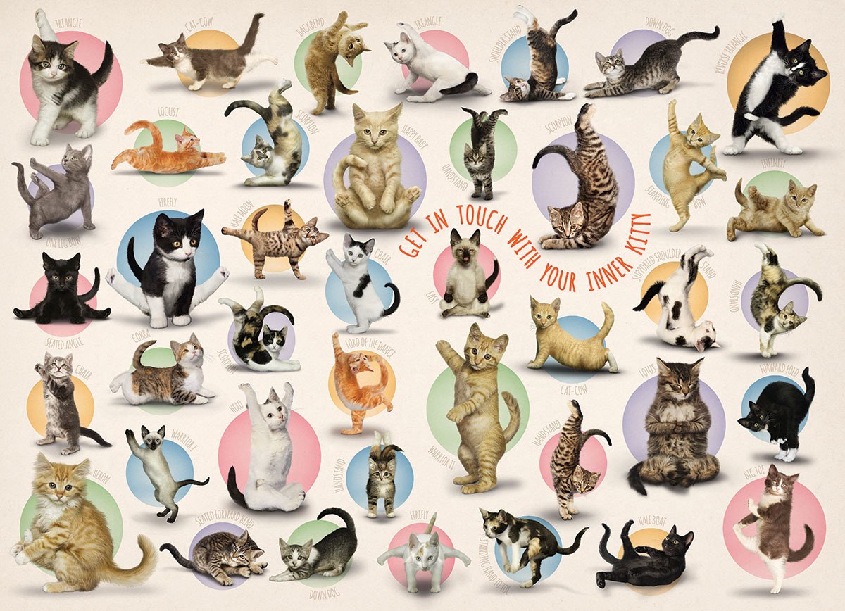 Yoga Kittens - 300pc Jigsaw Puzzle by Eurographics
