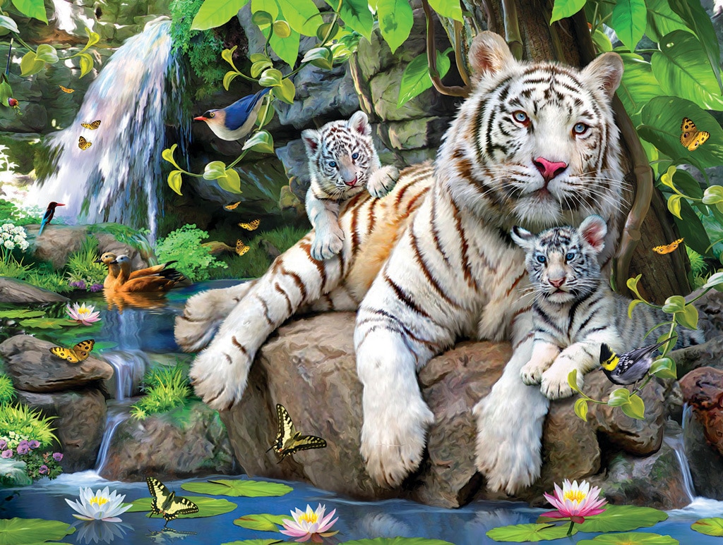 White Tigers of Bengal - 300pc Large Format Jigsaw Puzzle by SunsOut
