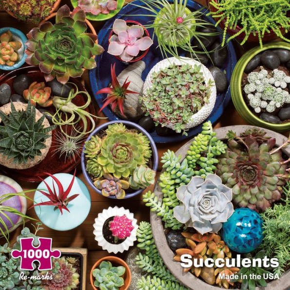 Succulents - 1000pc Jigsaw Puzzle By Re-marks  			  					NEW