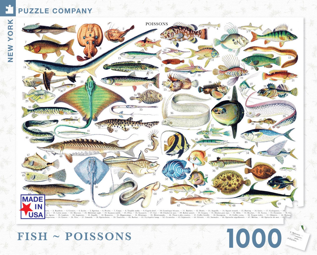 Fish/Poissons - 1000pc Jigsaw Puzzle by New York Puzzle Company - image 1