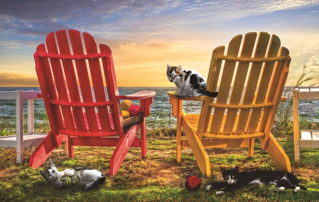 Cat Nap at the Beach - 1000pc Jigsaw Puzzle by Sunsout