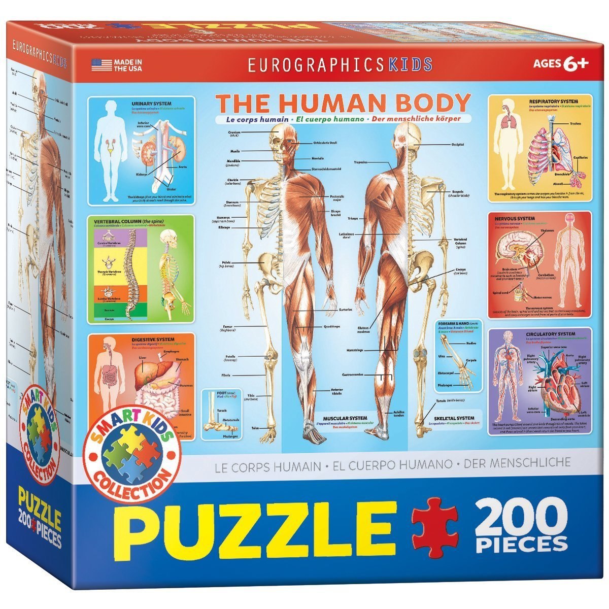The Human Body - 200pc Jigsaw Puzzle by EuroGraphics  			  					NEW