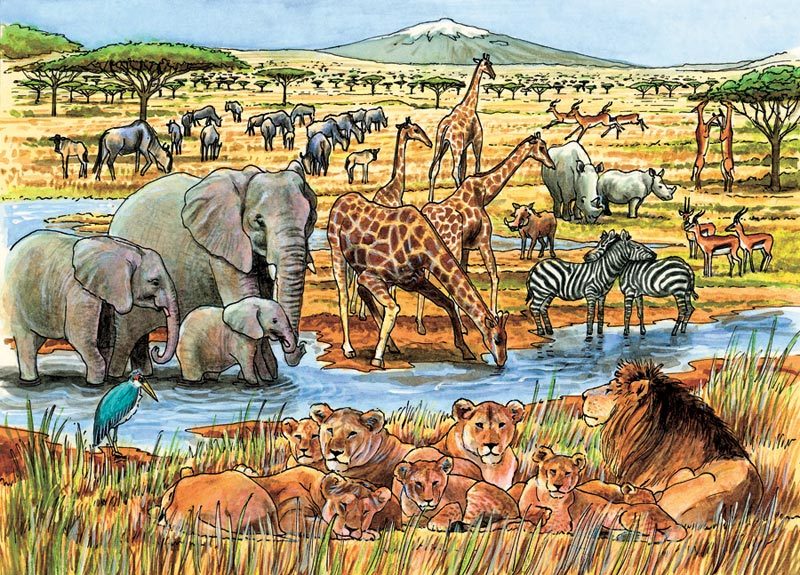 Out of Africa - 35pc Tray Puzzle by Cobble Hill