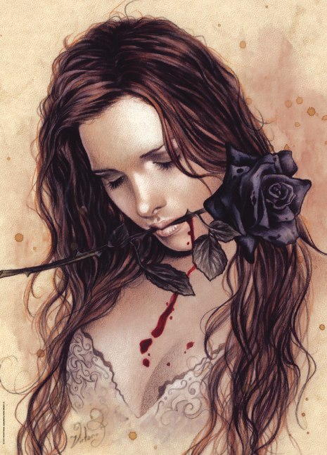 Favole: Dark Rose - 1000pc Jigsaw Puzzle by Heye