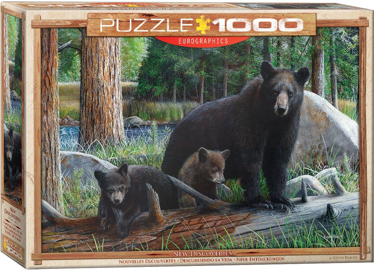 Daniel: New Discoveries - 1000pc Jigsaw Puzzle by Eurographics  			  					NEW - image 1