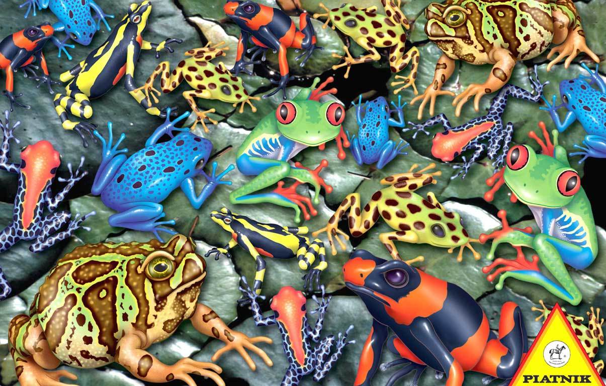 Frogs - 1000pc Jigsaw Puzzle by Piatnik