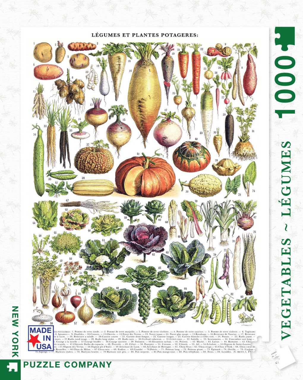 Vegetables/Legumes - 1000pc Jigsaw Puzzle by New York Puzzle Company - image 1