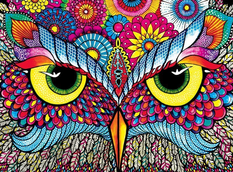 Owl Eyes - 1000pc Jigsaw Puzzle by Buffalo Games