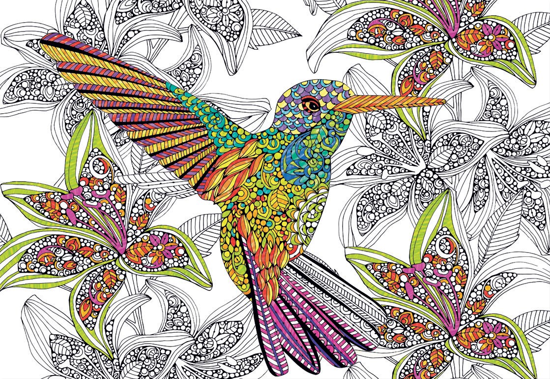 Hummingbird - 300pc Coloring Jigsaw Puzzle by Educa