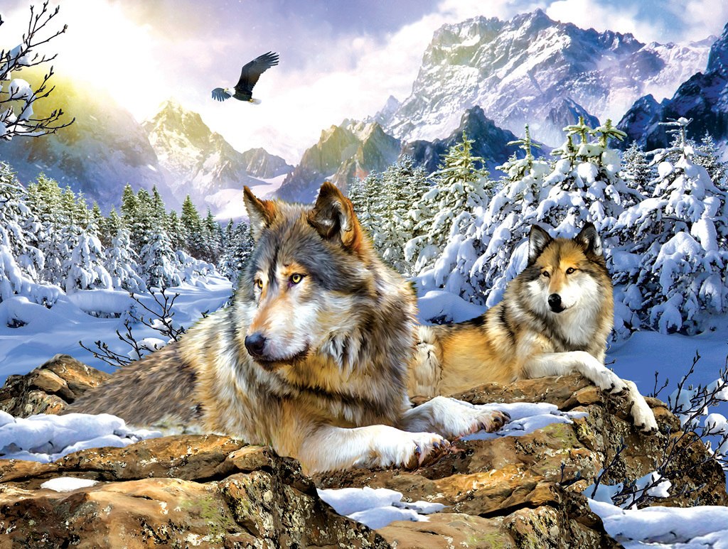 Snow Wolf - 500pc Jigsaw Puzzle by Sunsout