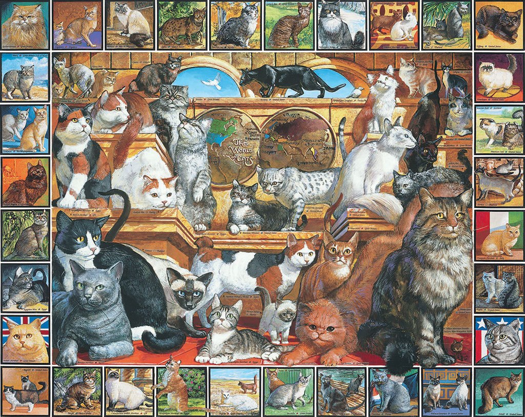 World of Cats - 1000pc Jigsaw Puzzle By White Mountain