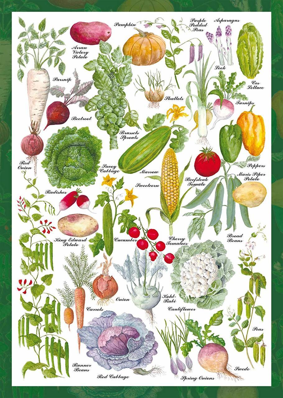 Vegetable Garden - 1000pc Jigsaw Puzzle by Schmidt  			  					NEW