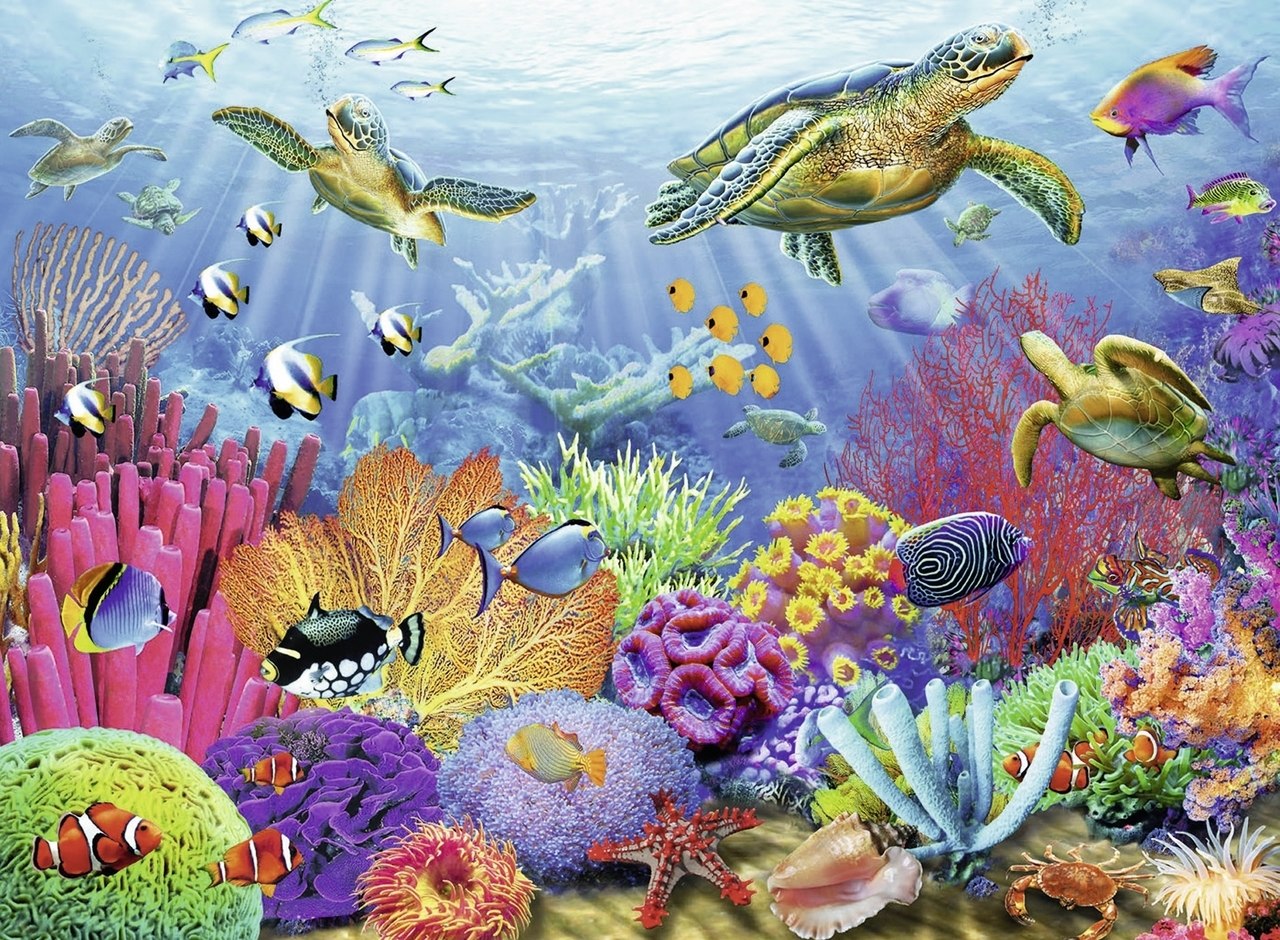 Tropical Waters - 500pc Jigsaw Puzzle by Ravensburger