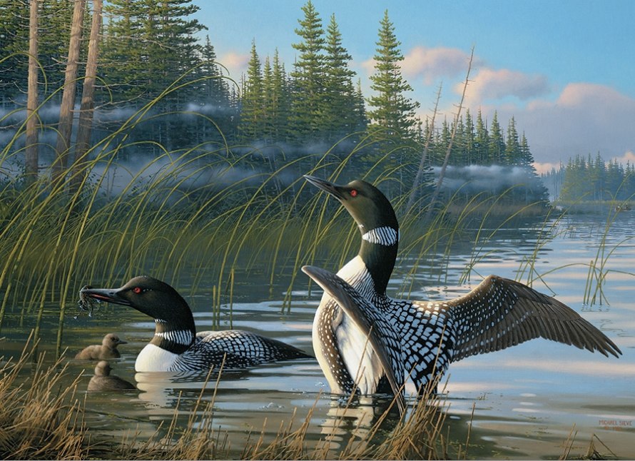 Common Loons - 1000pc Jigsaw Puzzle by Cobble Hill  			  					NEW - image main