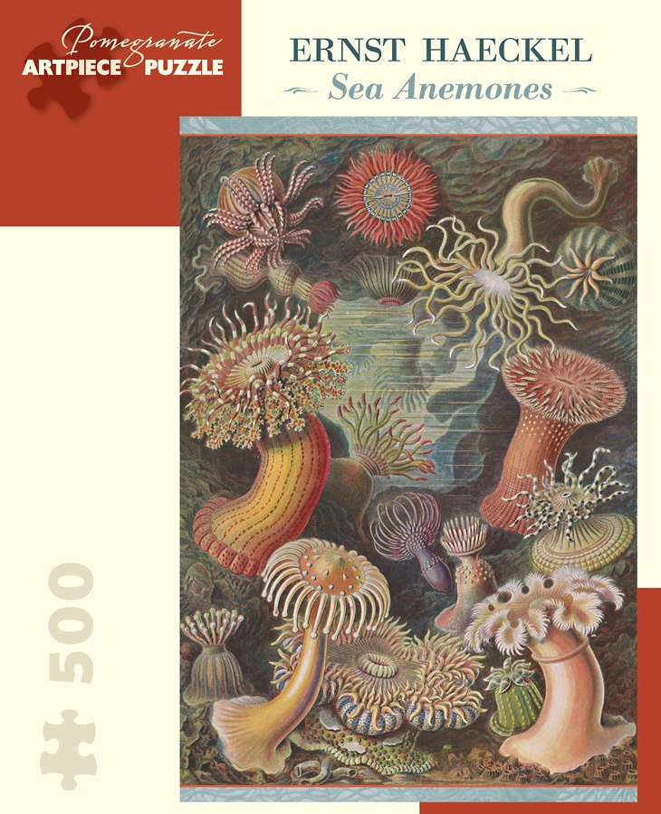 Haeckel: Sea Anemones - 500pc Jigsaw Puzzle by Pomegranate  			  					NEW - image 1