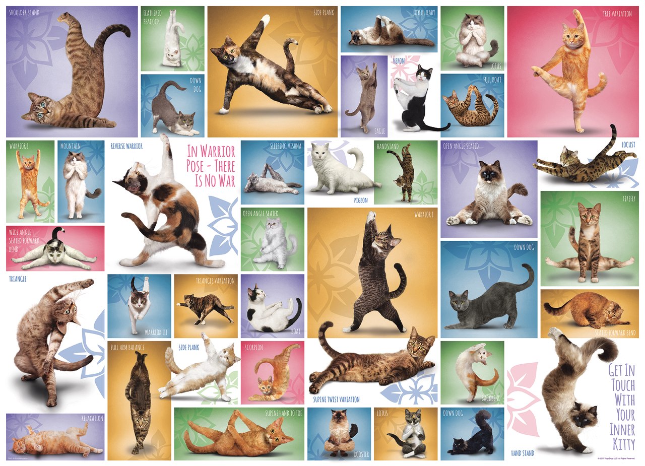 Yoga Cats - 1000pc Jigsaw Puzzle by Eurographics