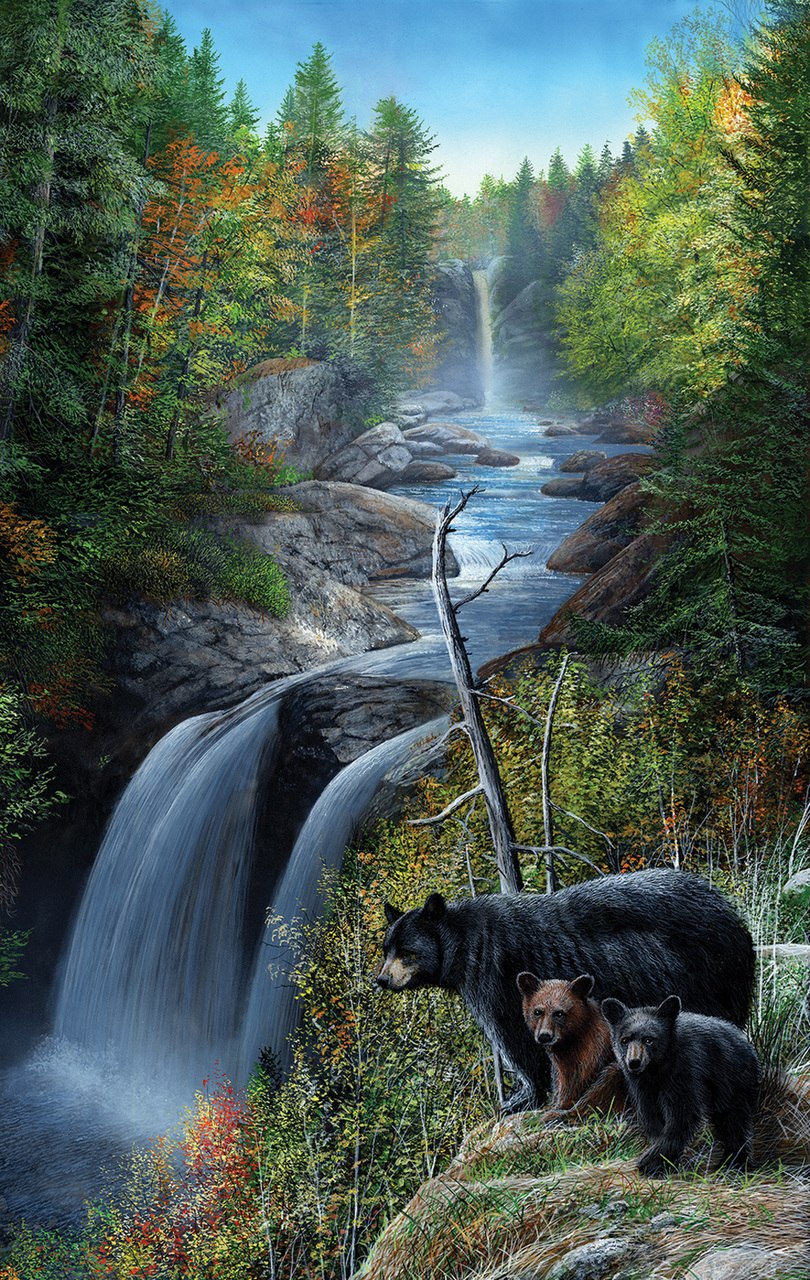 Bears at the Waterfall - 550pc Jigsaw Puzzle by SunsOut