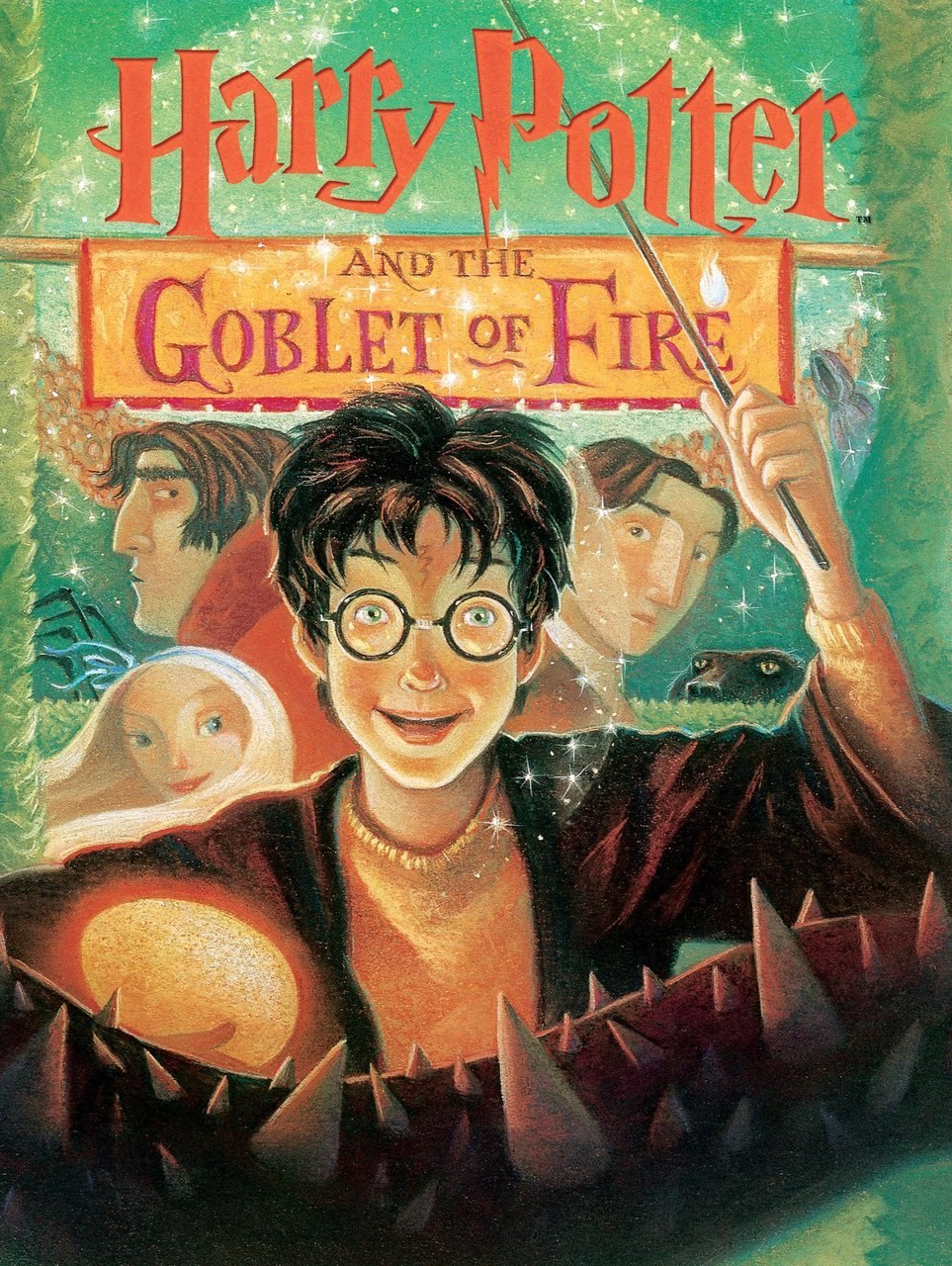 Goblet of Fire - 1000pc Jigsaw Puzzle by New York Puzzle Company  			  					NEW