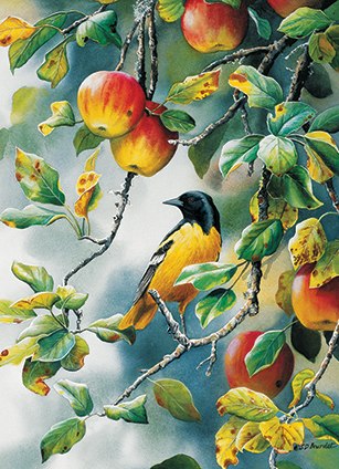 Northern Oriole - 500pc Jigsaw Puzzle By Cobble Hill