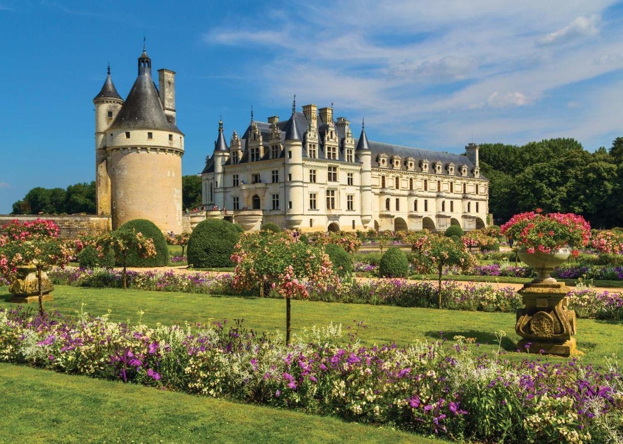 Castle in the Loire, France - 1000pc Jigsaw Puzzle By Jumbo  			  					NEW