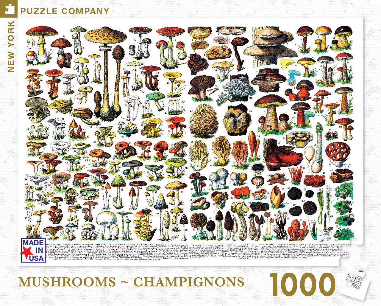 Mushrooms/Champignons - 1000pc Jigsaw Puzzle by New York Puzzle Company - image 1