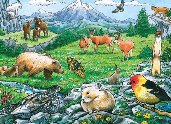 Rocky Mountain Wildlife - 35pc Tray Puzzle by Cobble Hill