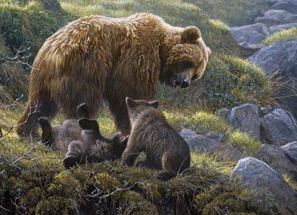 Grizzly and Cubs - 400pc Family Style Jigsaw Puzzle By Cobble Hill - image main