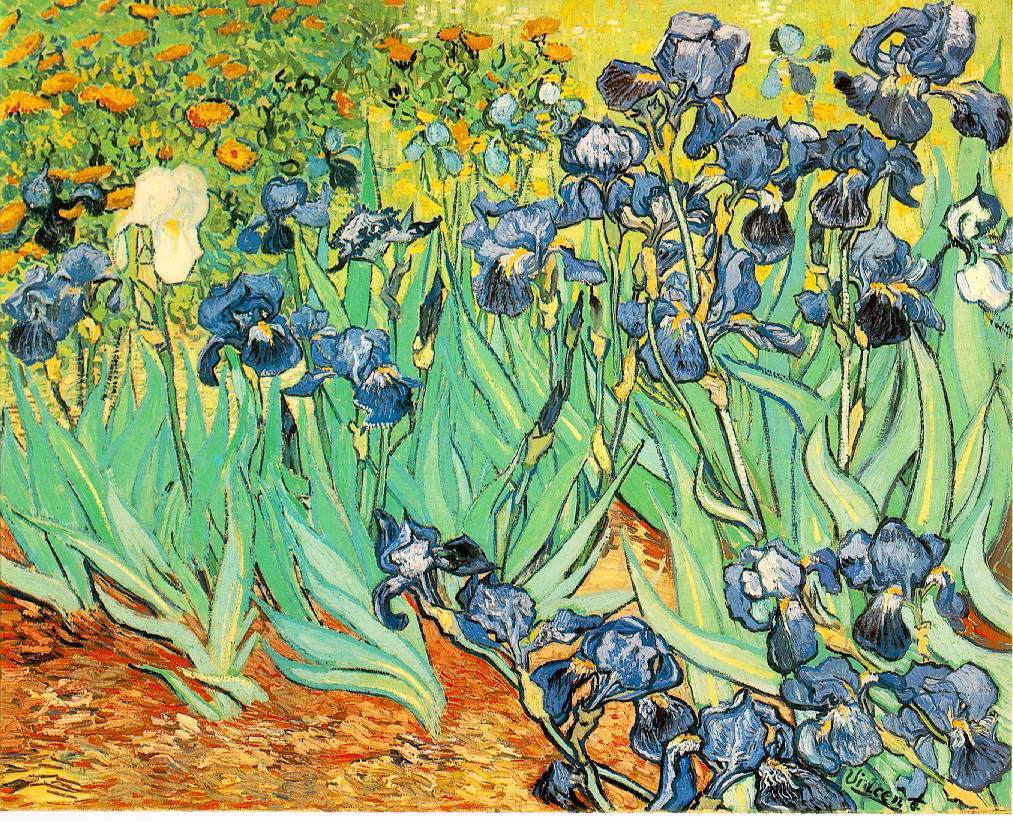 Van Gogh: Irises - 1000pc Hard Jigsaw Puzzle by Piatnik