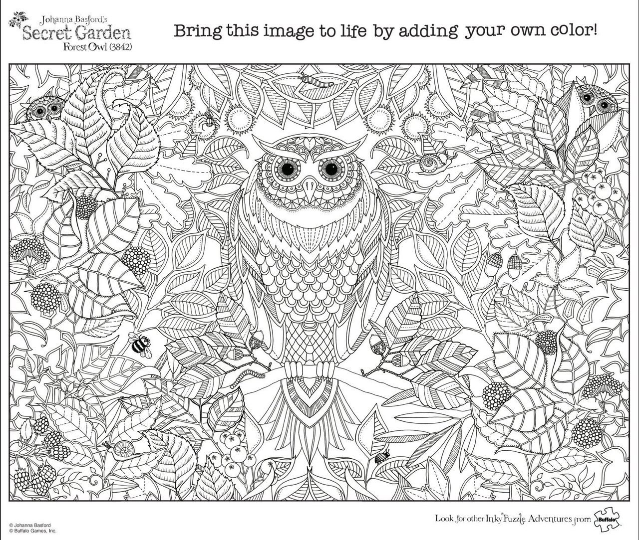 SECRET GARDEN: Johanna Basford FOREST OWL - 500pc Coloring Book Jigsaw Puzzle by Buffalo Games - image 2