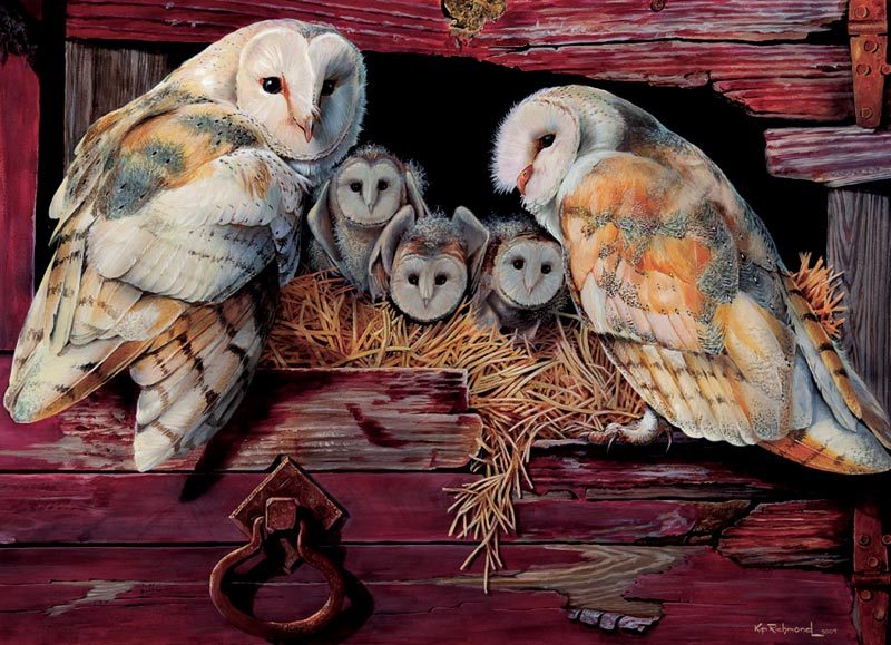 Barn Owls - 1000pc Jigsaw Puzzle by Cobble Hill