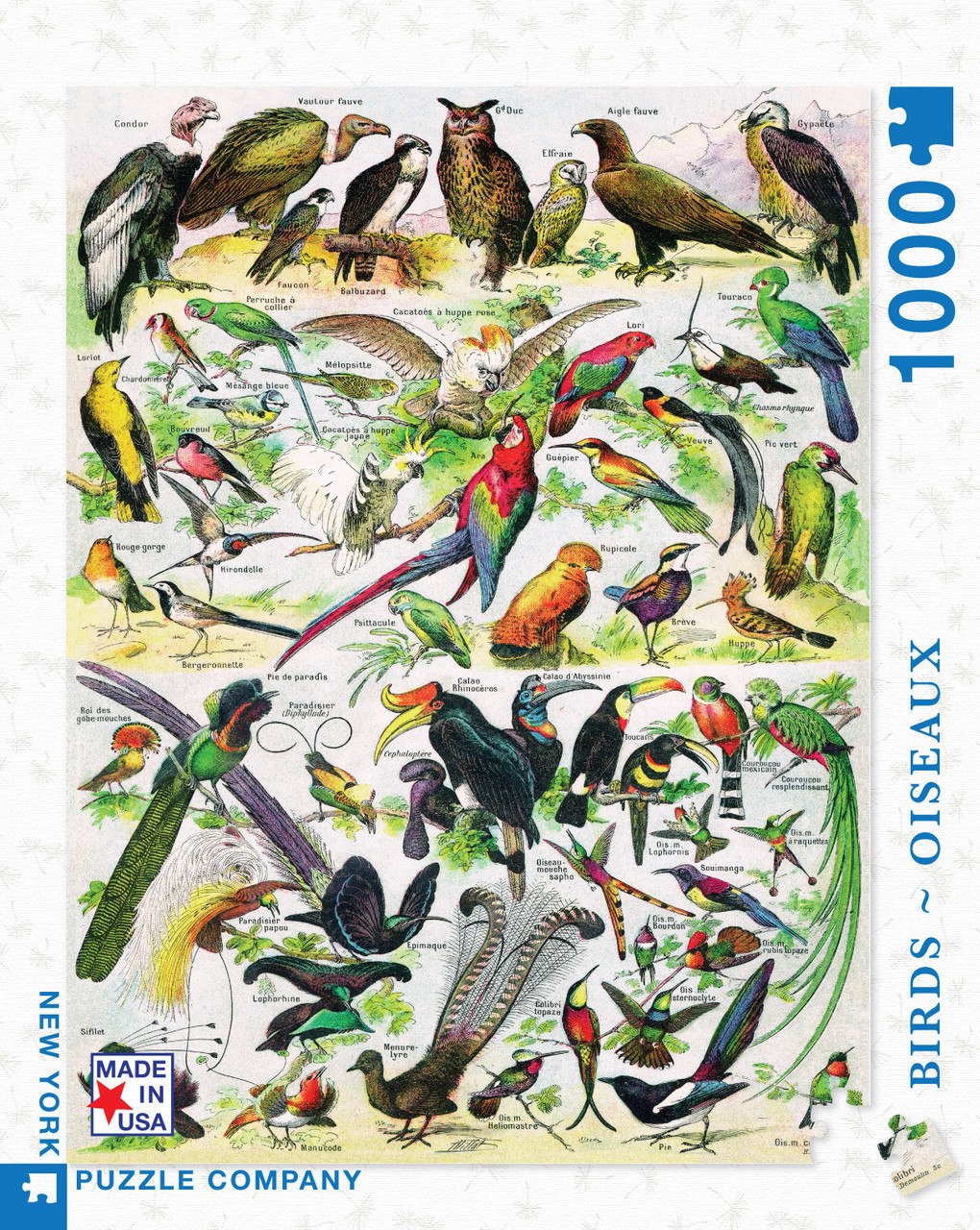 Birds/Oiseaux - 1000pc Jigsaw Puzzle by New York Puzzle Company - image 1