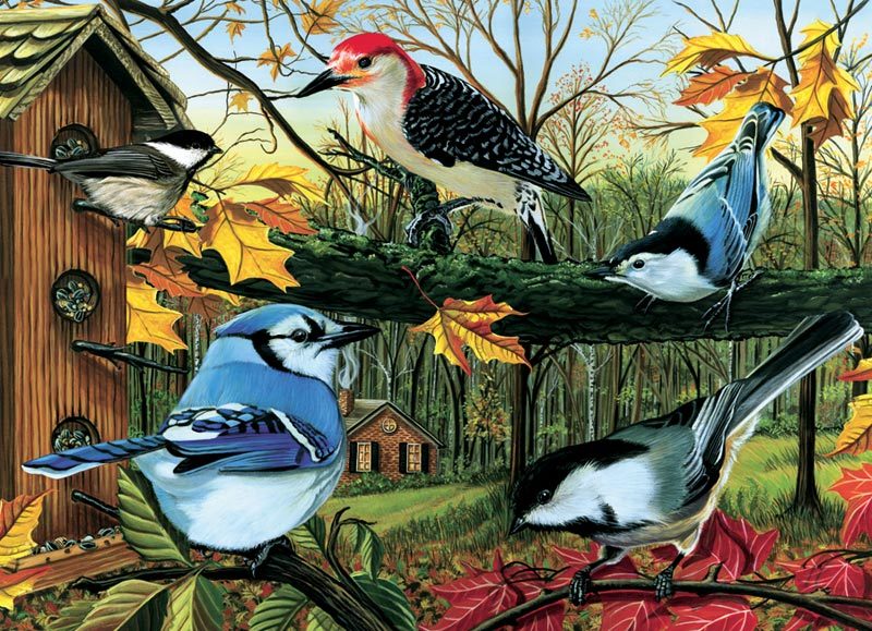 Blue Jay and Friends - 1000pc Jigsaw Puzzle by Cobble Hill