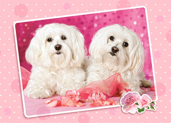 Two Doggies in Pink - 120pc Jigsaw Puzzle By Castorland