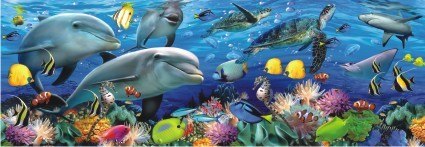 Undersea - 1000pc Jigsaw Puzzle by Anatolian