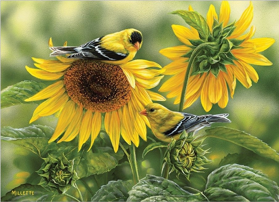 Sunflowers and Goldfinches - 1000pc Jigsaw Puzzle by Cobble Hill  			  					NEW